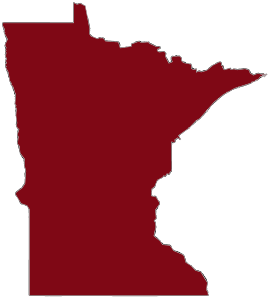 Map of Minnesota with extent of 2025 – Statewide – CIR – Summer data highlighted